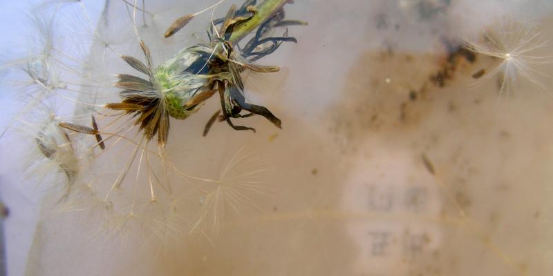 "Boite 5" Nuovi AR.RI.VI, Milano