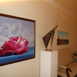 Natura:Luci e Ombre a Modena.