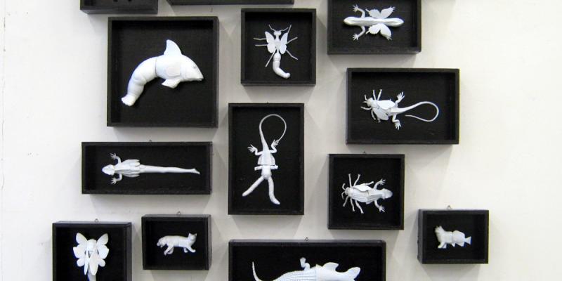  The Glocal Rookie of the Year