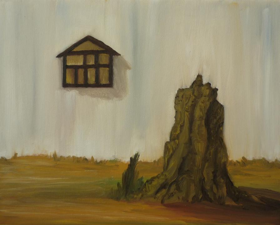 Costruzioni per amatori