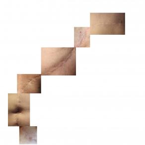 Discontinuità sensibili, 2011