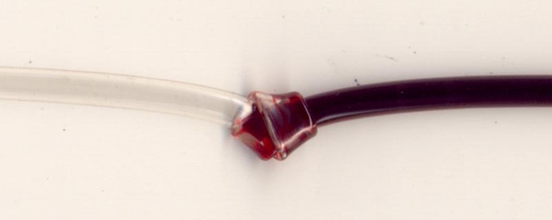 Il regalo di Dio - Il Corpo Il regalo di Dio - Il Corpo