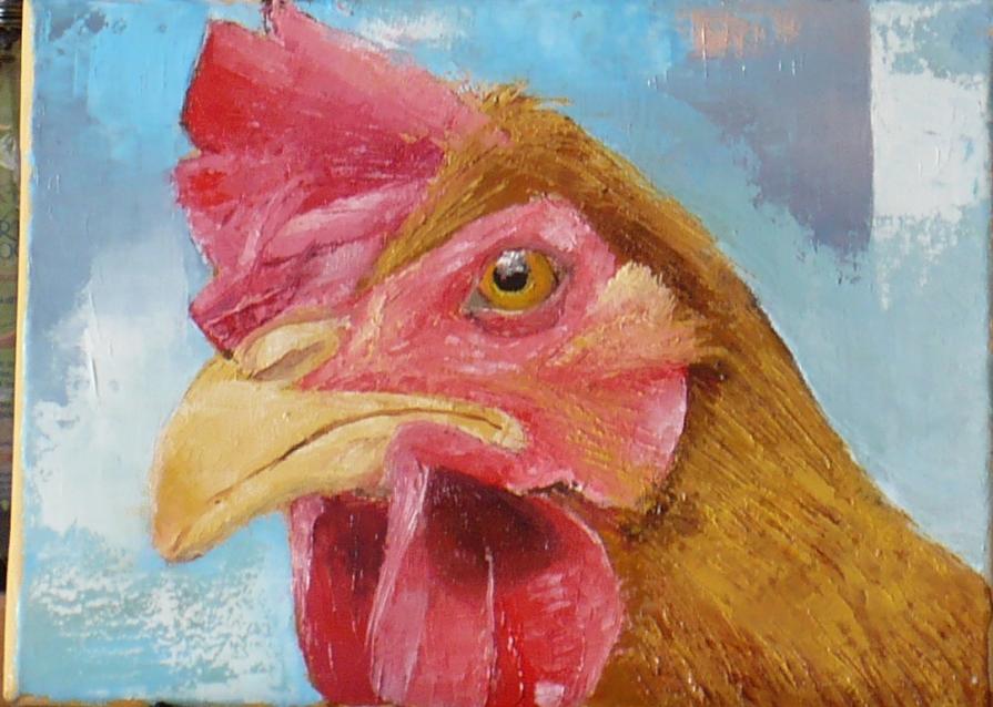 La gallina ti osserva....