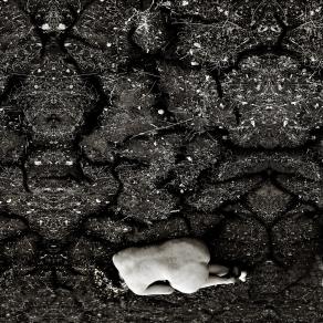 oniro - come ritorno alle origini -