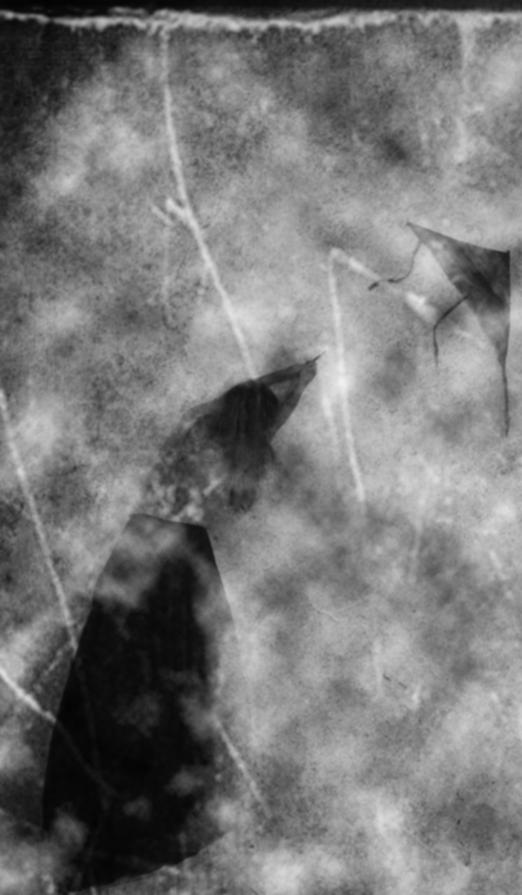 Confine di sè| oltre muri e confini