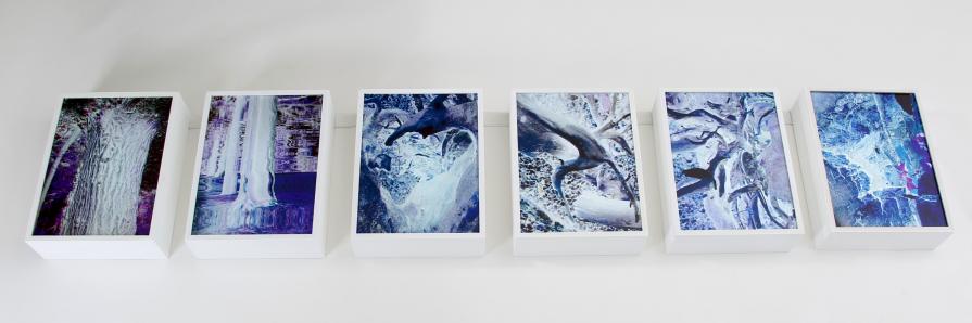 Avatar: il bosco incantato 1 Avatar: il bosco incantato 1