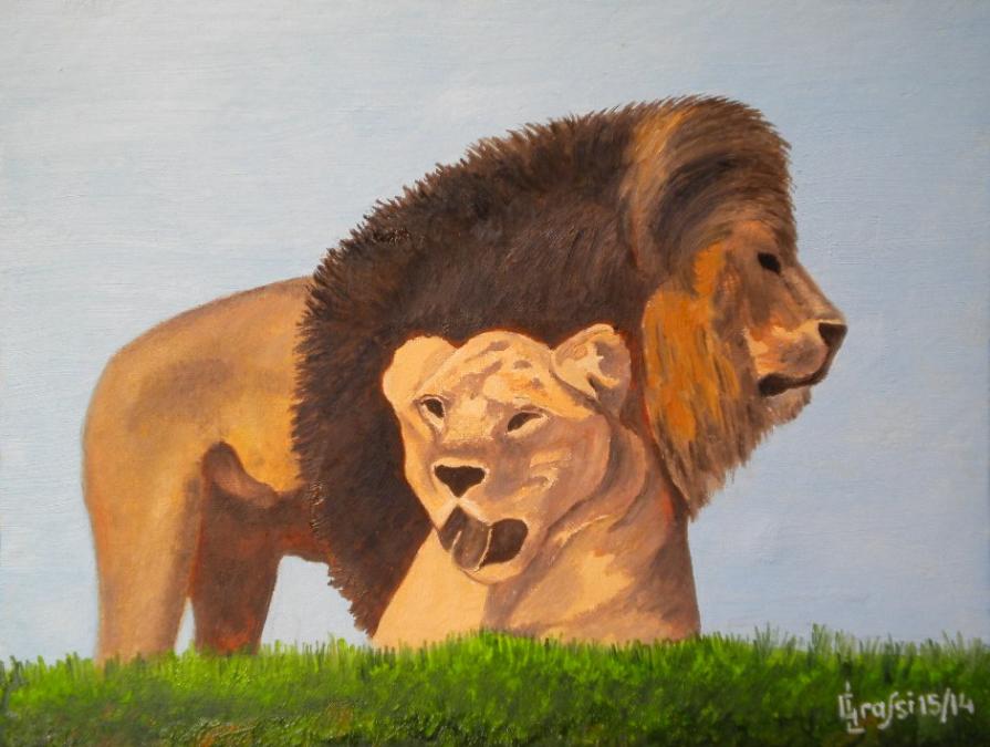 LG 0263 - I Reali dell Foresta