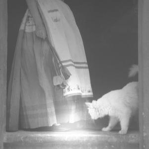 The last summer / I. Souvenirs d'enfance