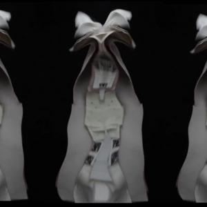 Cacophoney of Written Word