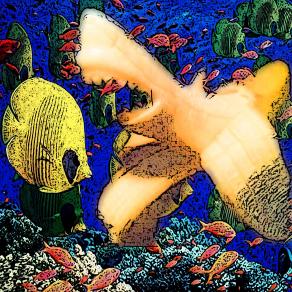 . . . She likes to do it in the Dark !!! . . . 