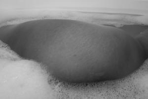 Christian Freet - lilac crest