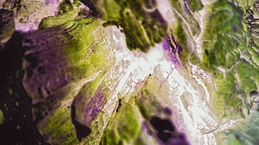 Anima - Idea e Materia