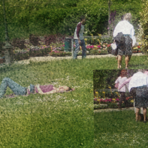 orticoltura 01 orticoltura 01