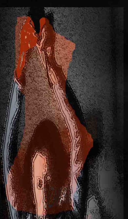 Hands Highly live the palestenser