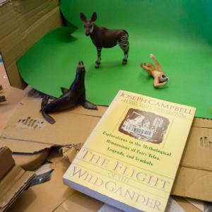 Habitat_project_backstage 12