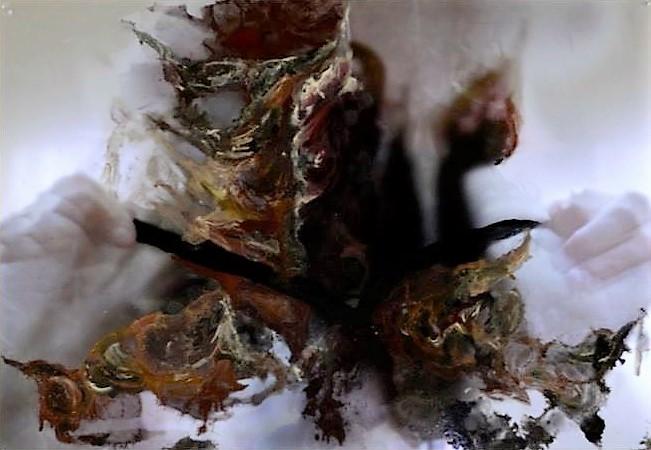 Roseo Anellide Ermafrodito