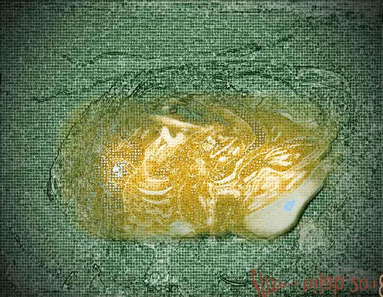 ich bin nicht politiker - ich male- französiche Revolution Ahoi - ich hasse krieg was 