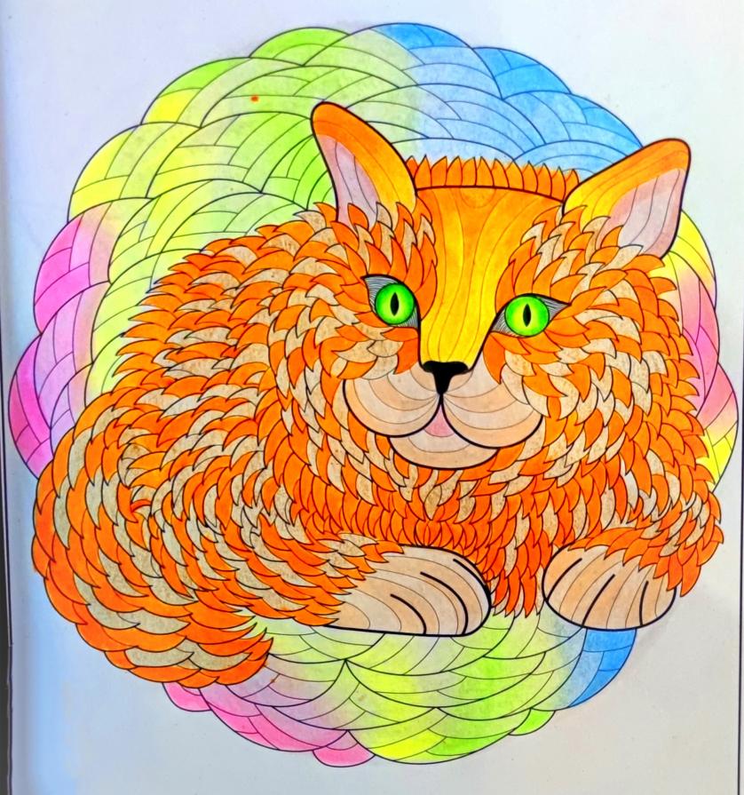 L'elegante bellezza del gatto...!!!