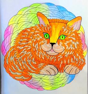 L'elegante bellezza del gatto...!!!