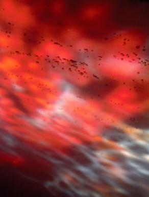 Pictolumen traccia di performance 