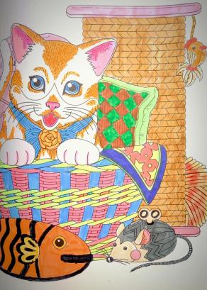 Cibo? Subito... Coccola? Forse...Essere disturbato mentre faccio un pisolino? Mai... !!!