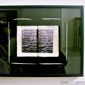 Premio Lynx  2019 -quarta edizione Letizia Ardillo partecipa alla mostra dei finalisti e i vincitori                       