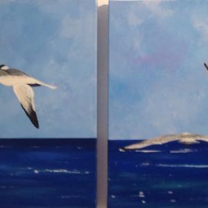 LUCI, COLORI ED EMOZIONI