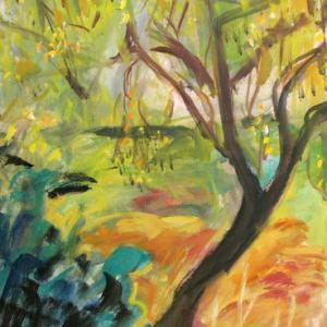 Dialogo con la Natura- oltre i 16:9