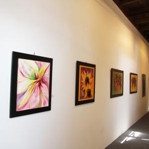 BARBARA GHISI AL PALAZZO DUCALE DI REVERE, DAL 17 MAGGIO AL 4 GIUGNO