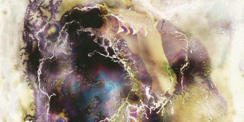 Luke Jerram & Seung Hwan Oh IMPERMANENCE: THE ART OF MICROBIOLOGY