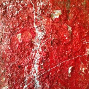 Intervista a Luca Ferrise, 3° premio Creativi Under 30