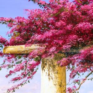 ARTISTANTE EVENT AND SCULPTURES AL CLUB MERIDIANA 