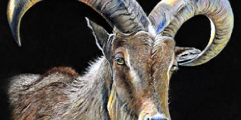 Art Call - Theme “Nature” Online Art Competition