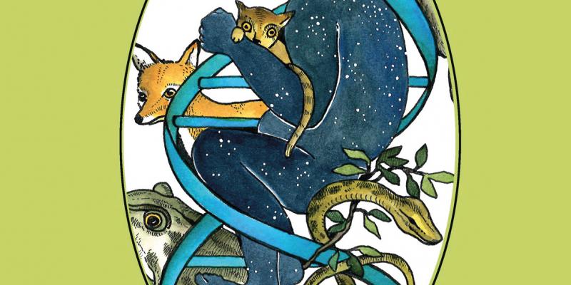 The Book Arts Fair born in the sign of the Artist’s Book and Small Edition Festival of Barcelone 