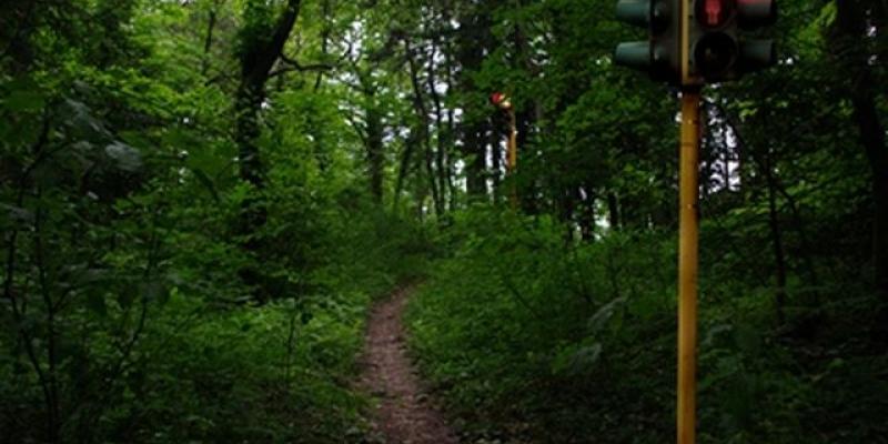 Naturacultura - madre terra