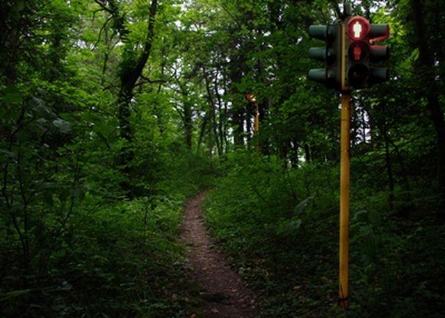 Naturacultura - madre terra