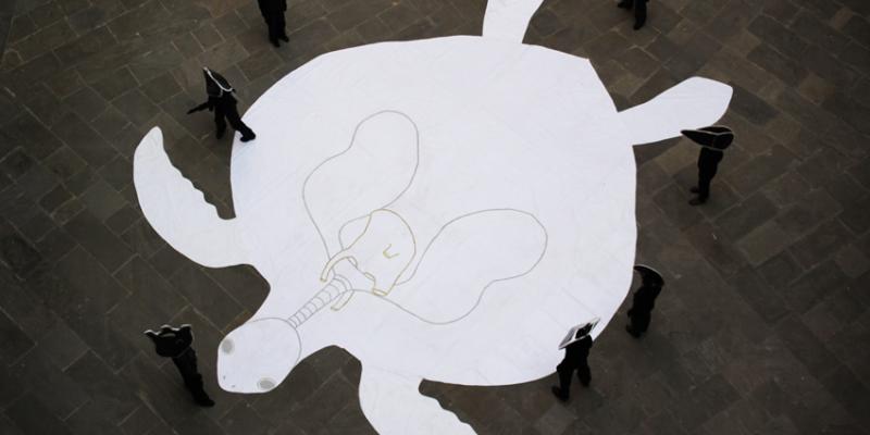 the great turtle and his dancing organs