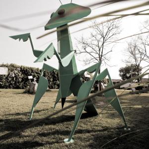 ZOOMaginario: un contest "bestiale"