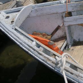 geometria di linee naturali