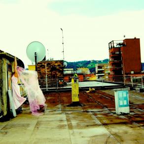 THE BRIDE IS ON MY ROOF, WHAT CAN I DO?