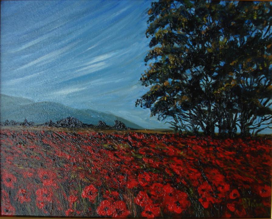 Patrizioni - Papaveri Patrizioni - Papaveri