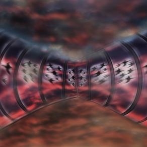 in autostrada le sagome  dgli uccelli le vedo,ma dove vanno??