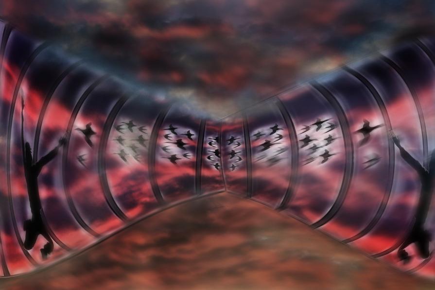 in autostrada le sagome  dgli uccelli le vedo,ma dove vanno??