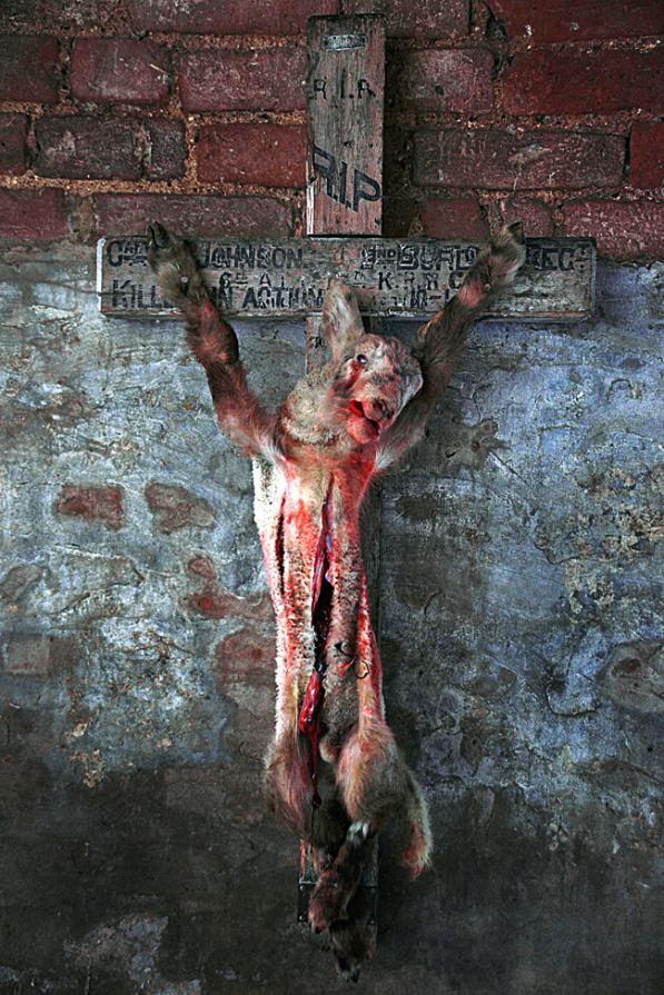 LAMB OF GOD LAMB OF GOD