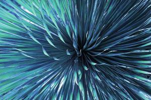 After Hours Lounge - 19.1.12