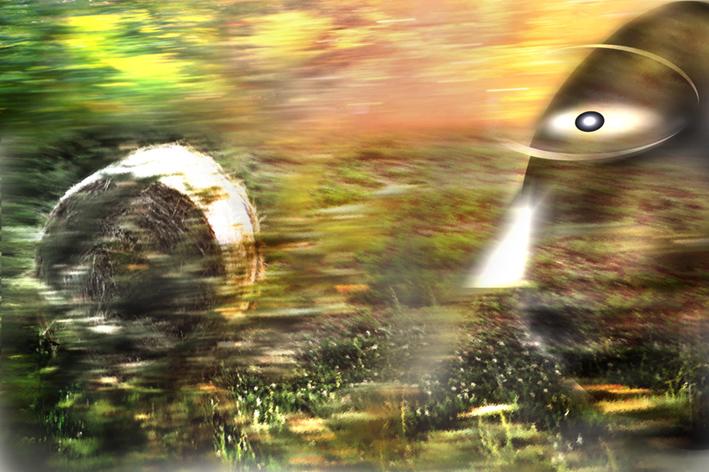 ore 12,50 corro .calore colore mi colpiscono il viso il corpo al improvviso mi colpisce un sapore di