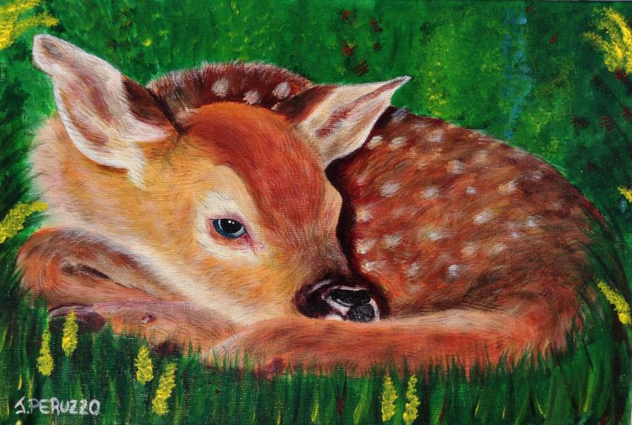 Cerbiatto a riposo... fate piano!