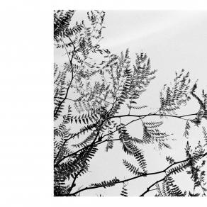 Abbecedario - Bilico