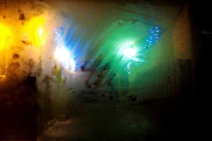 Ciò che mi è permesso di vedere adesso 