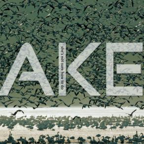 Double Life in REM State